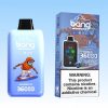 Bang 36000 Puffs Ice Control Vape 5 jpg - Bang King Vape Bang 36K Puffs Ice Control Vape - Bang King Nederland
