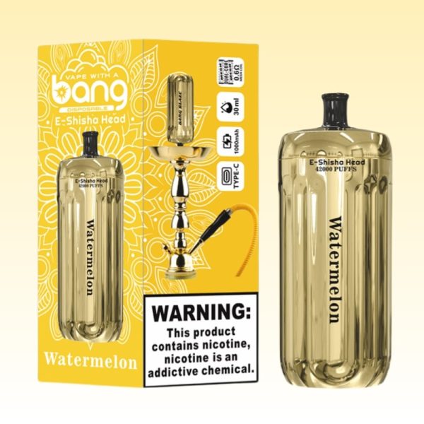 Bang Blaze 42000 Puffs 8 jpg - Bang King Vape Bang Blaze 42000 Puffs - Bang King Nederland