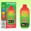 Bang King City 50000 puffs 7 jpg - Bang King Vape Bang King City 50000 Puffs - Bang King Nederland