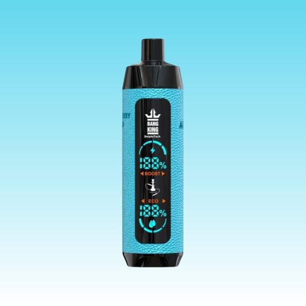 Portable Bang King Shisha 25000 Puffs DTL Disposable Vape with Smart Screen 5 jpg - Bang King Vape Bang King E-Shisha 25K Puffs - Bang King Nederland