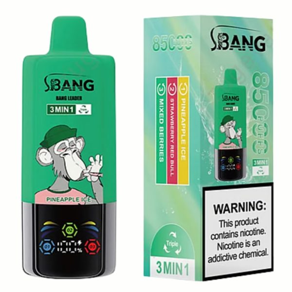 Bang Leader 85000 Puffs - Bang King Nederland Bang Leader 85000 Puffs - Bang King Nederland