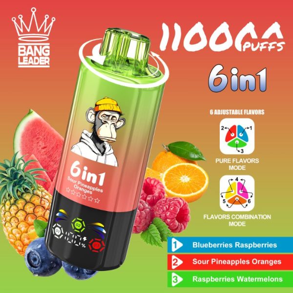 Bang Leader 110k Puffs - Bang King Nederland Bang Leader 110k Puffs - Bang King Nederland