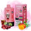 Bang Leader 300k Puffs - Bang King Nederland Bang Leader 300k Puffs - Bang King Nederland